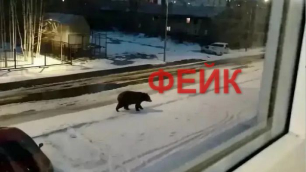 В Сургутском районе школьник сгенерил картинку с медведем на улице поселка и это привело к большому переполоху