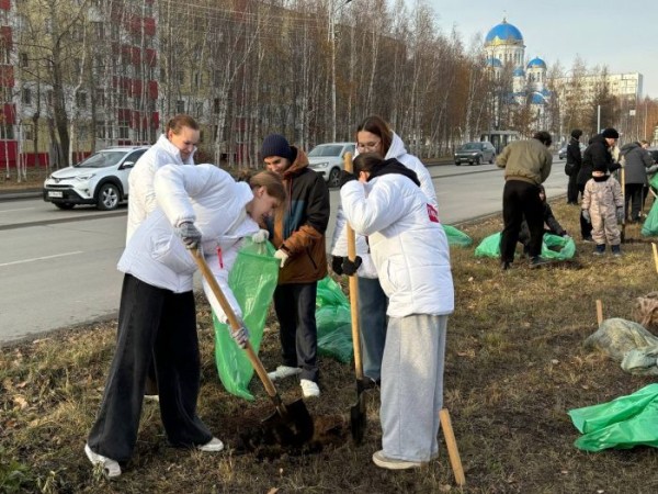 Волонтеры и молодежь Сургута высадили 30 деревьев на улице Островского