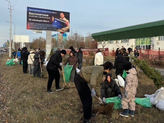 Волонтеры и молодежь Сургута высадили 30 деревьев на улице Островского