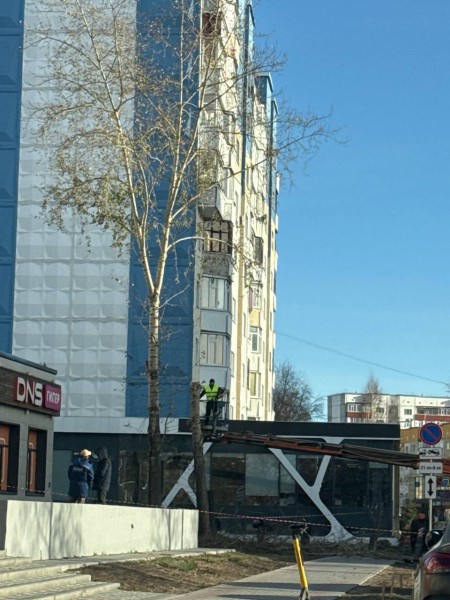 Сургутянка пожаловалась из-за спила деревьев в городе