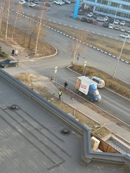 Сургутянка пожаловалась из-за спила деревьев в городе
