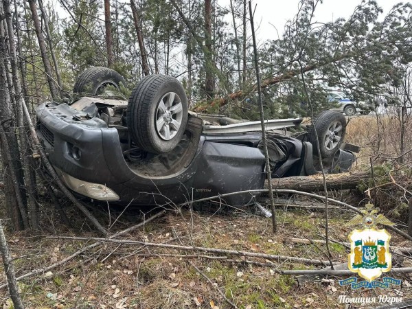 В Сургутском районе водитель иномарки не удержал машину на трассе и погиб В Сургутском районе водитель иномарки не удержал машину на трассе и погиб