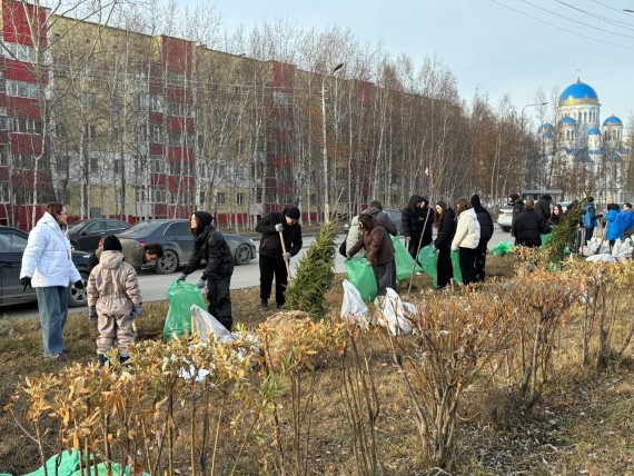Волонтеры и молодежь Сургута высадили 30 деревьев на улице Островского