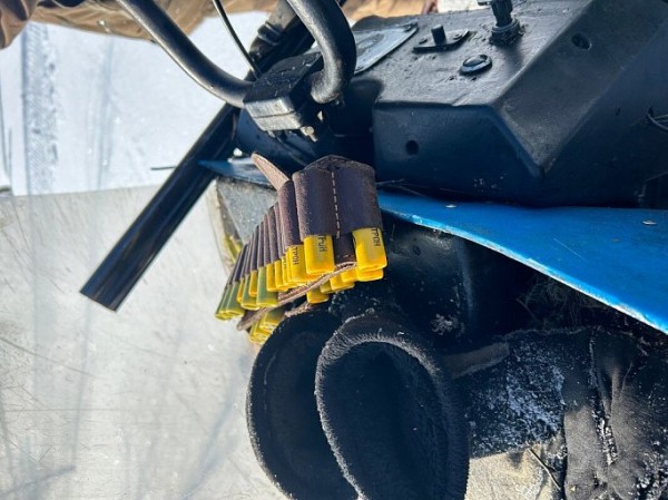 Жителю Сургута грозит 2 года тюрьмы за убийство лося Жителю Сургута грозит 2 года тюрьмы за убийство лося