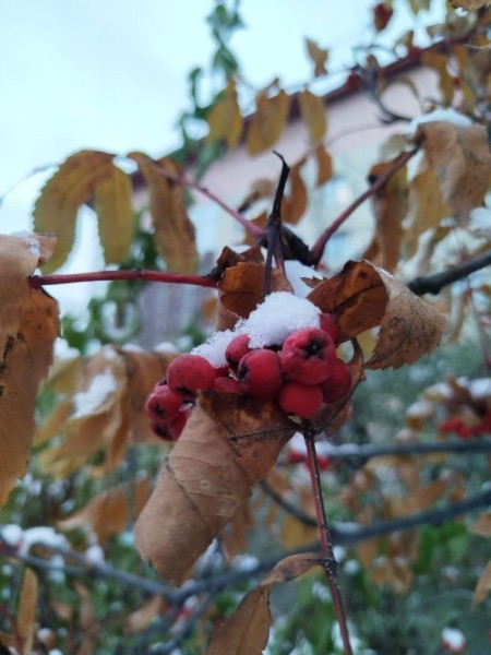 Плюсовая погода продержится в Сургуте до конца выходных Плюсовая погода продержится в Сургуте до конца выходных