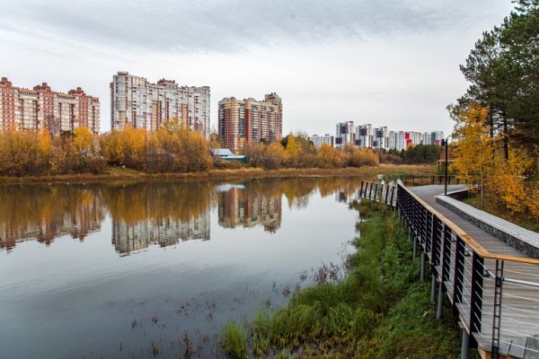 Кому в Югре проще найти работу по специальности: данные конца 2025 года Кому в Югре проще найти работу по специальности: данные конца 2025 года