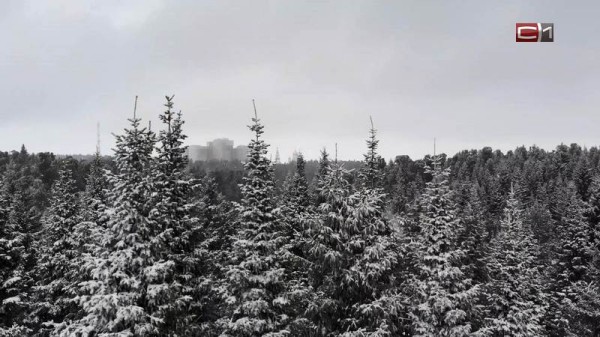 В Югре утвердили создание новых природных заказников и памятников В Югре утвердили создание новых природных заказников и памятников