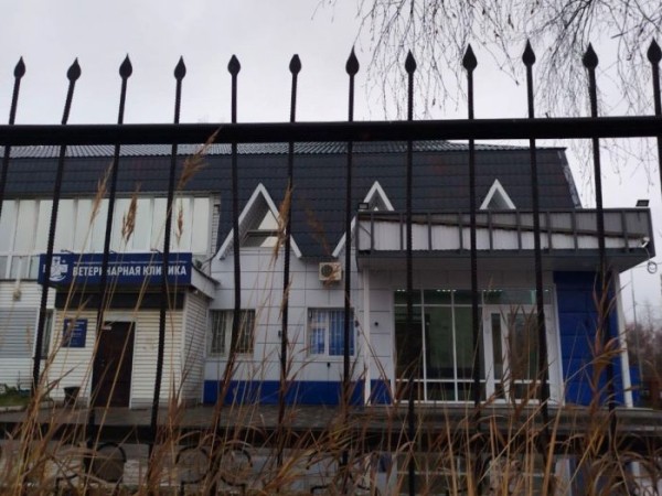 «Мы остаемся в тупике»: в Сургуте станция скорой помощи ставит забор, который перекроет доступ к ветеринарным учреждениям на улице Профсоюзов «Мы остаемся в тупике»: в Сургуте станция скорой помощи ставит забор, который перекроет доступ к ветеринарным учреждениям на улице Профсоюзов