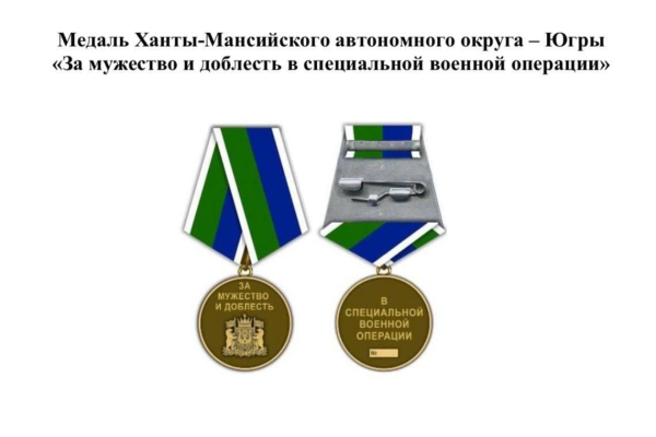 Власти ХМАО поддержали идею об учреждении медалей военнослужащим