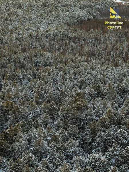 Каждый день, когда ты выбираешь себя — это шаг к внутренней свободе