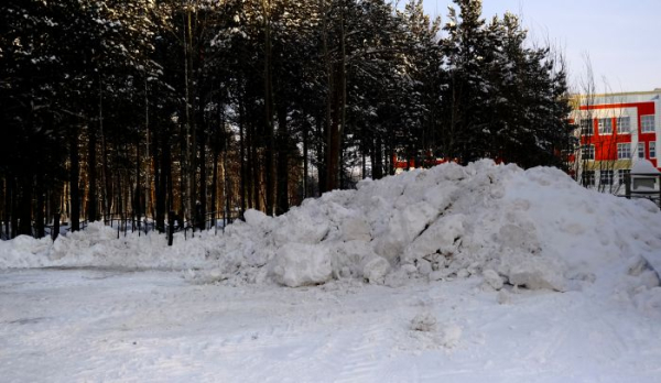 В Сургуте после снегопада на улицы вывели более ста единиц спецтехники В Сургуте после снегопада на улицы вывели более ста единиц спецтехники