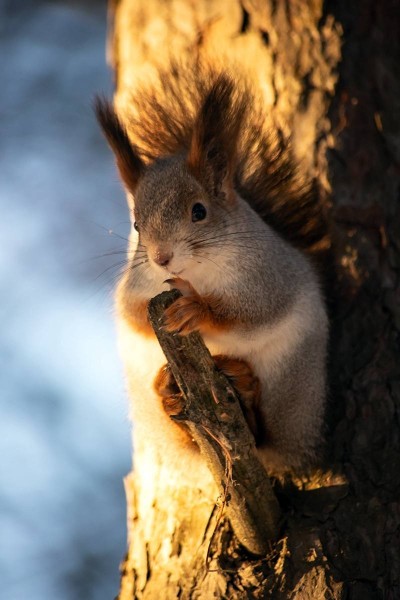 И с каждым днем мы убеждаемся в правоте слов «все, что ни делается - всё к лучшему» И с каждым днем мы убеждаемся в правоте слов «все, что ни делается - всё к лучшему»