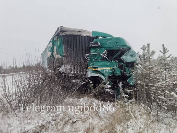 Под Сургутом лоб в лоб столкнулись две груженные фуры Под Сургутом лоб в лоб столкнулись две груженные фуры