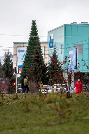 Причуды погоды. Главные кадры прошлой недели в Сургуте