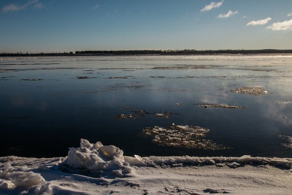 Любо-дорого посмотреть. Чем запомнится минувшая неделя в Сургуте Любо-дорого посмотреть. Чем запомнится минувшая неделя в Сургуте