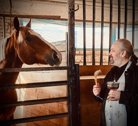 В ХМАО освятили лошадей спортивного клуба, чтобы уберечь их от болезней