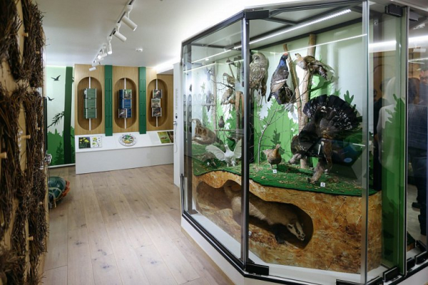 В Сургуте запустили интерактивную выставку с запахами леса и голосами животных В Сургуте запустили интерактивную выставку с запахами леса и голосами животных