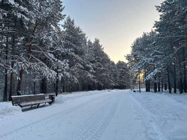 ​Актировка: 1-11 класс второй смены