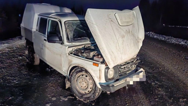 В Сургутском районе в ДТП пострадали четыре человека В Сургутском районе в ДТП пострадали четыре человека