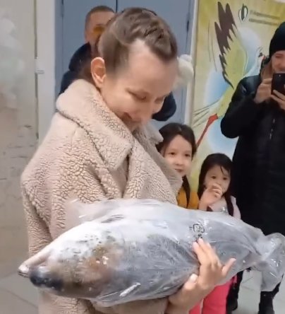 В ХМАО мужчина подарил родившей супруге гигантскую семгу в качестве букета В ХМАО мужчина подарил родившей супруге гигантскую семгу в качестве букета