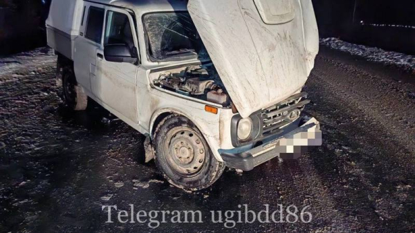 В аварии в Сургутском районе пострадали 3 взрослых и ребенок В аварии в Сургутском районе пострадали 3 взрослых и ребенок