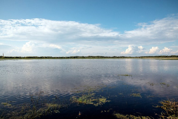 В ХМАО водитель гидроцикла сел в тюрьму за гибель своей пассажирки