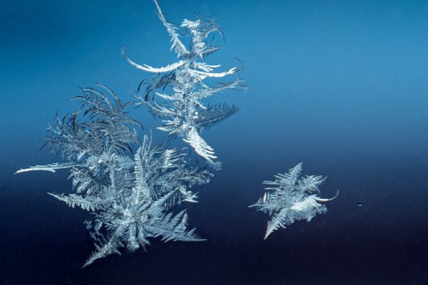 Такого не ожидал никто. Чем запомнится минувшая неделя в Сургуте