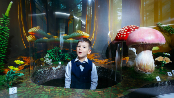 Тайга в центре Сургута: новая выставка предлагает услышать и почувствовать природу Тайга в центре Сургута: новая выставка предлагает услышать и почувствовать природу