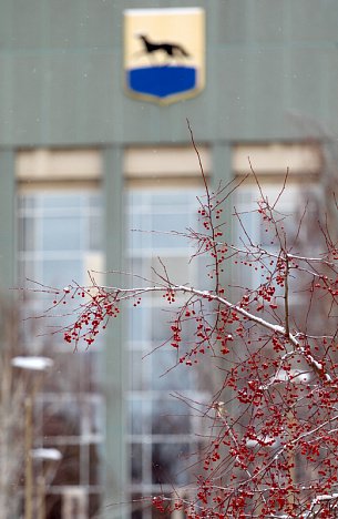 Истории, пойманные взглядом. Чем запомнится минувшая неделя в Сургуте