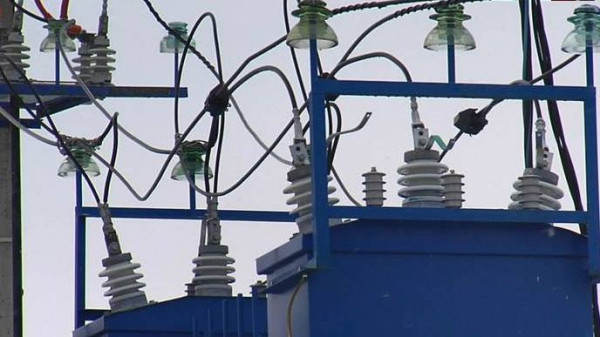 Прокуратура организовала проверку по факту отключения электроэнергии в садоводческих товариществах в г.Сургуте