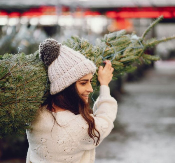 В течение всего января сургутяне смогут сдать отслужившие свое натуральные елки на переработку