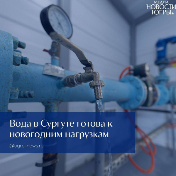 В преддверии новогодних праздников в Сургуте подвели итоги работы по стабилизации качества воды