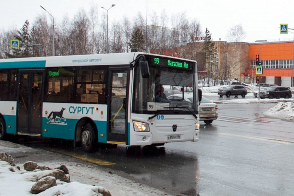 В Сургуте прокуратура проверит холодные автобусы из-за жалоб пассажиров В Сургуте прокуратура проверит холодные автобусы из-за жалоб пассажиров