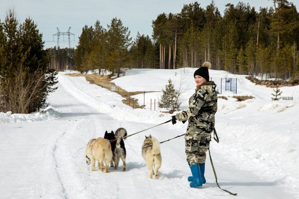 Сургутский район приготовил для туристов программу на новогодние каникулы Сургутский район приготовил для туристов программу на новогодние каникулы