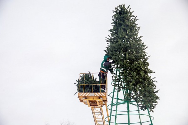 В Сургуте открылись елочные базары В Сургуте открылись елочные базары