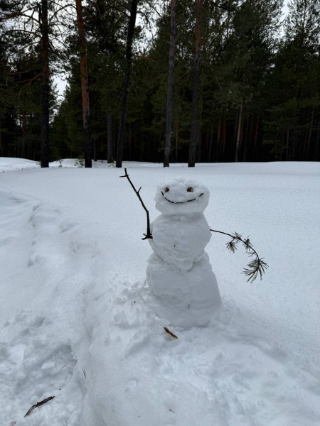 Последний снеговик зимы? Фоткой красавца, слепленного накануне, делится подписчица Последний снеговик зимы? Фоткой красавца, слепленного накануне, делится подписчица