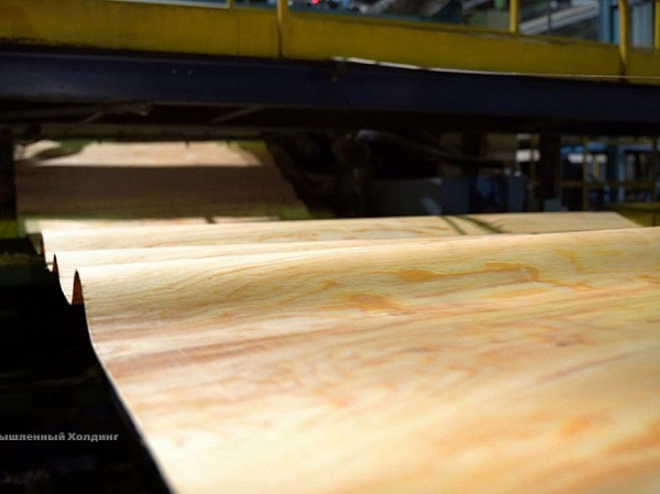 В ХМАО в особой экономической зоне &laquo;Нягань&raquo; строят мебельную фабрику