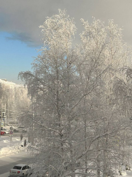 ​В Сургуте после морозных выходных ожидается потепление до +3 градусов