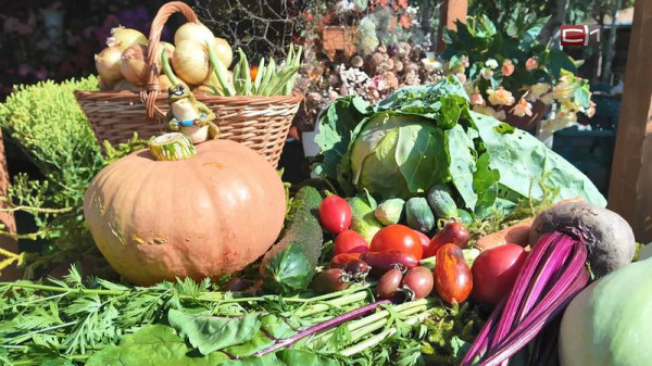 Какие фрукты и овощи полезнее всего есть весной