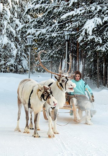В Сургутском районе состоялся традиционный слет оленеводов, рыбаков и охотников
