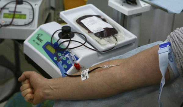 В ХМАО проиндексировали выплату для почетных доноров крови