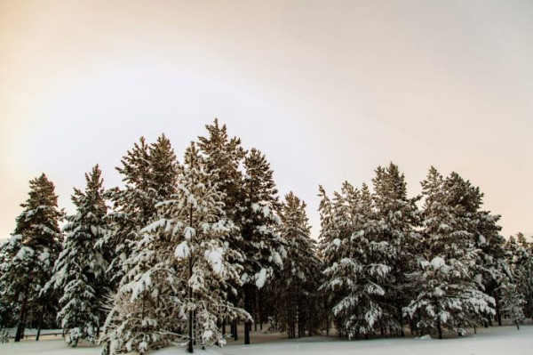 Актировка: 1-8 класс второй смены