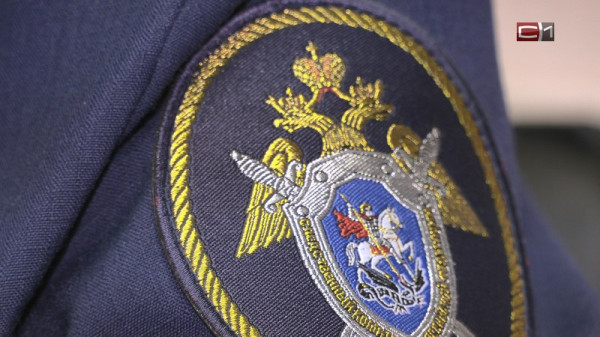 Александр Бастрыкин заинтересовался делом о нападении на ребенка в Югре