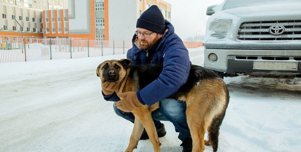 Жизнь собачья: когда бродячие животные негуманны к людям//ФОТО Жизнь собачья: когда бродячие животные негуманны к людям//ФОТО