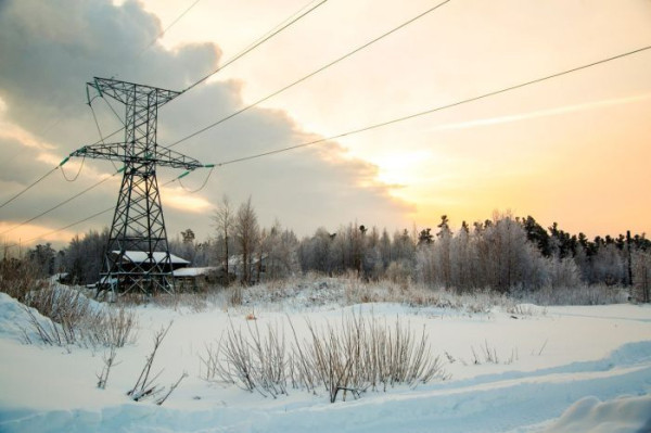 ​В нескольких дачных кооперативах Сургута временно отключат электричество