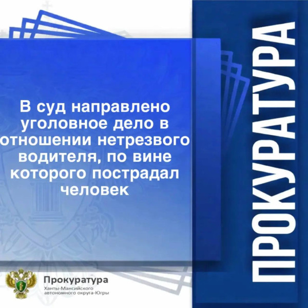 В суд направлено уголовное дело в отношении нетрезвого водителя, по вине которого пострадал человек В суд направлено уголовное дело в отношении нетрезвого водителя, по вине которого пострадал человек