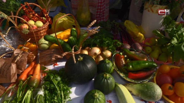 Специалисты из Ямала рассказали, как похудеть к лету без вреда для здоровья Специалисты из Ямала рассказали, как похудеть к лету без вреда для здоровья