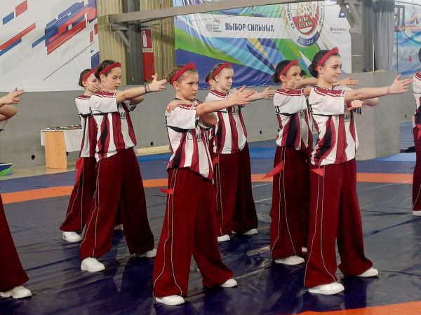 Владимир Семенов поддержал детский турнир Владимир Семенов поддержал детский турнир