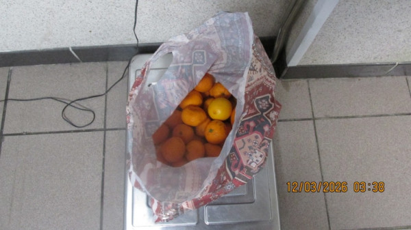 В аэропорту Сургута за месяц уничтожили более 105 кг запрещённых фруктов и орехов В аэропорту Сургута за месяц уничтожили более 105 кг запрещённых фруктов и орехов