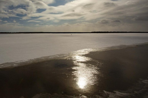 Выходить на реки в Сургуте стало смертельно опасно: на Оби появились проталины